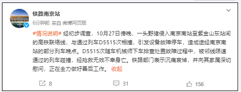 铁路南京站：野猪侵入高铁联络线与列车相撞，机械师下车处置中被邻线列车碰撞身亡