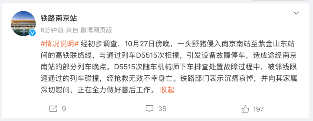 列车撞上野猪，机械师查看被撞身亡！多地野猪“下山进城”，怎么防？