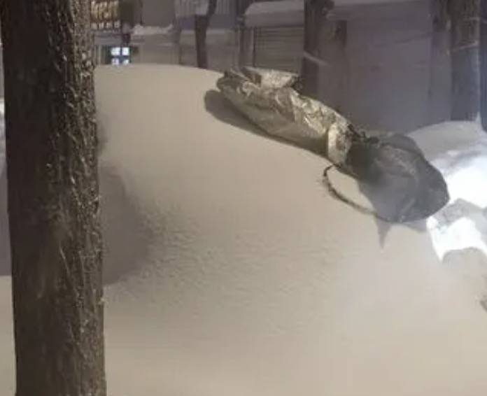 直击黑龙江鹤岗降雪：已破纪录，最大积雪深48厘米