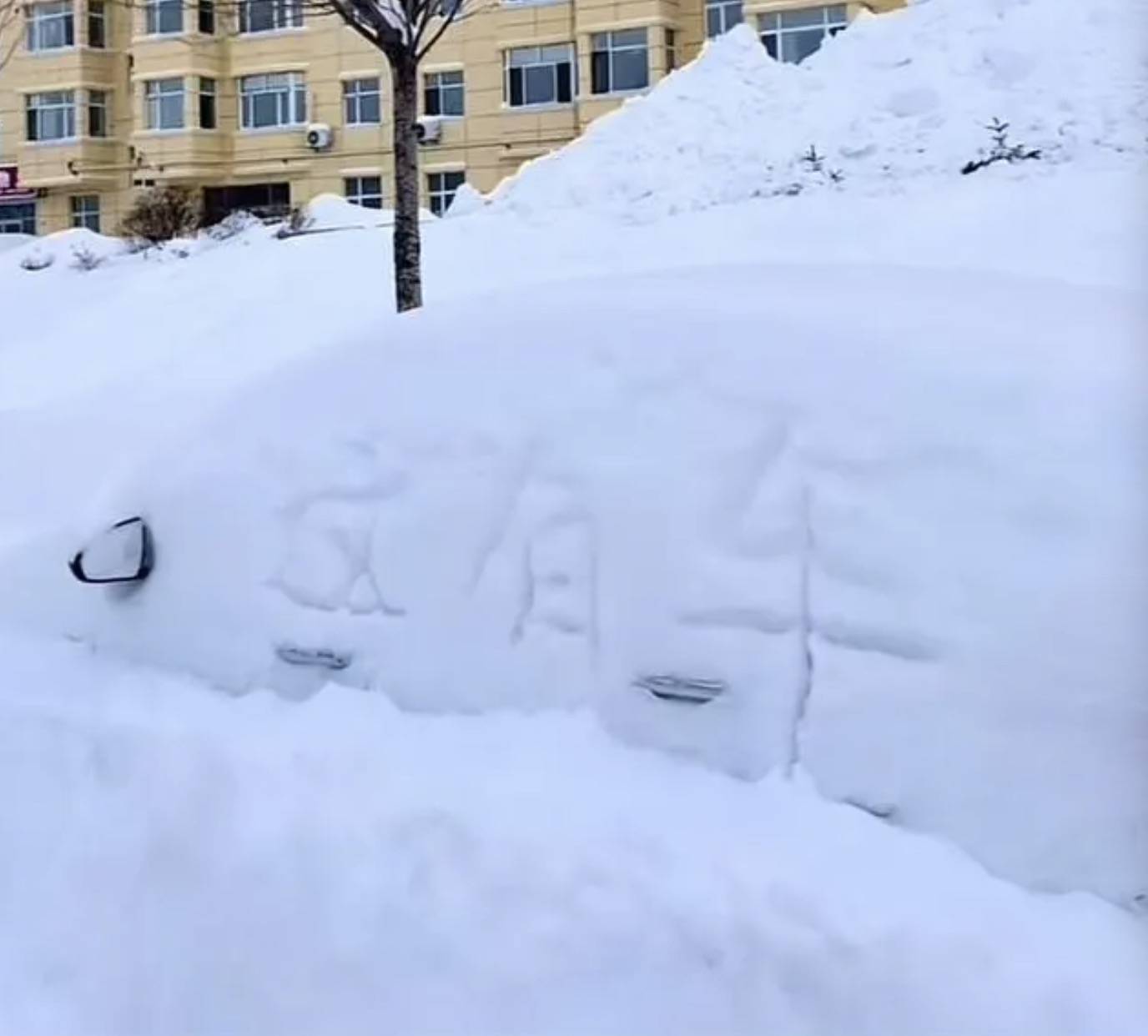 鹤岗暴雪破纪录！当地动员全市党员干部清雪