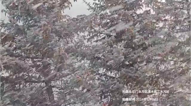 北京真的下雪了！这里大雪纷飞，最新消息